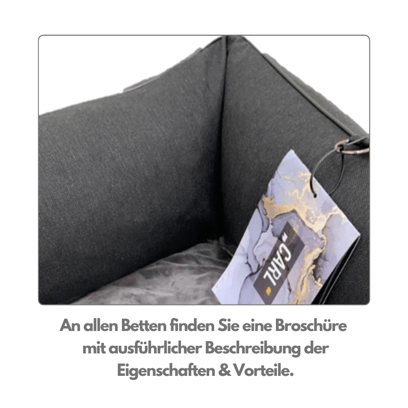 Broschüre Lebon Carl Plus