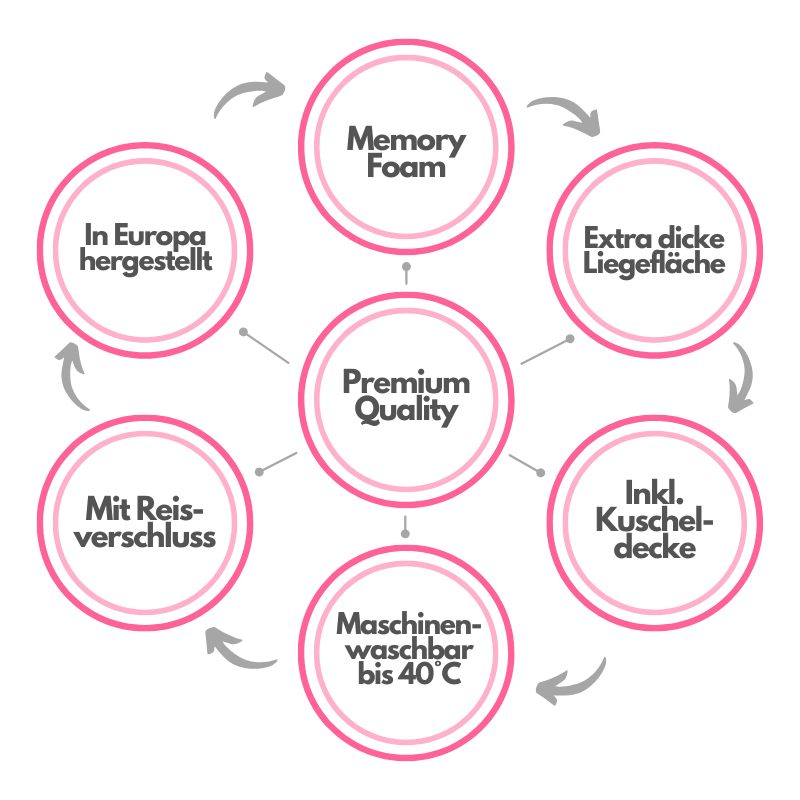Highlights des Lebon Carl Plus