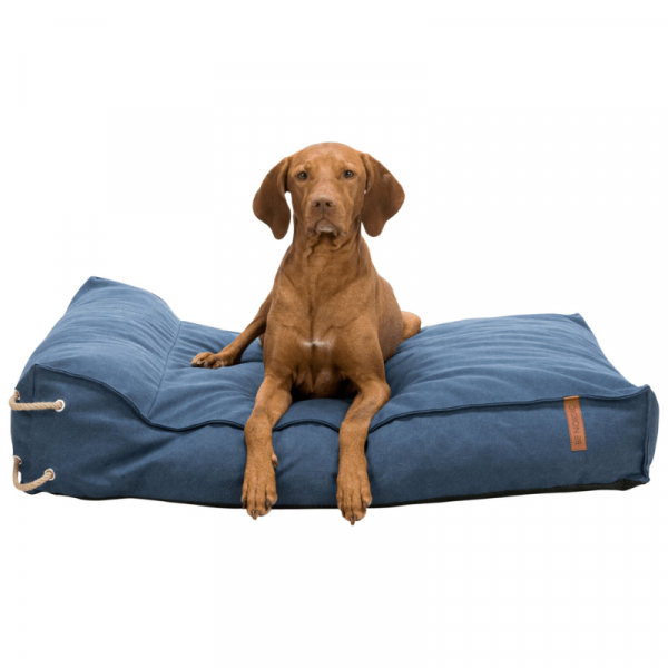 trockenfutter hundefutter Getreidefreies Trockenfutter für Hunde mit Pute – Nourrir comme la nature