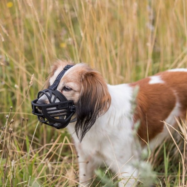Trixie Maulkorb Muzzle Flex Gummi Hund 2
