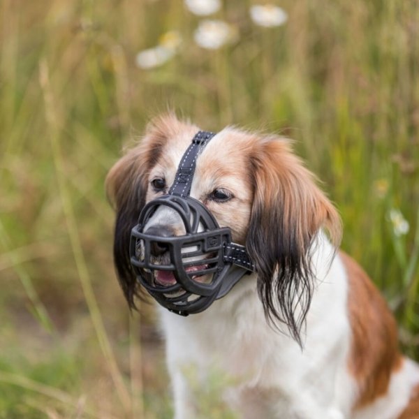 Trixie Maulkorb Muzzle Flex Gummi hund 3