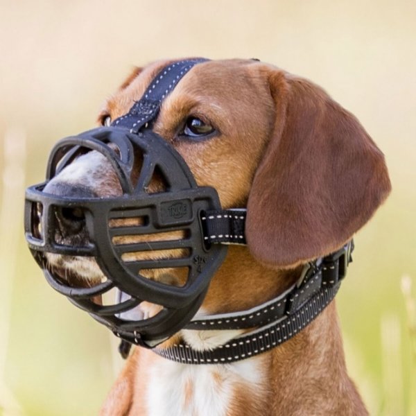 Trixie Maulkorb Muzzle Flex Gummi mit Hund