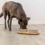 Trixie Napf-Set Keramik-Bambus mit Hund