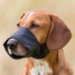 Trixie Nylon-Maulkorb mit Hund