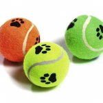 Karlie Tennisbälle mit Squeeker - 3er Set Originalgröße