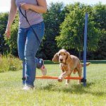 Trixie Agility Hürde mit Hund 1