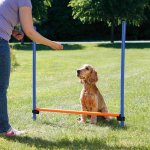 Trixie Agility Hürde mit Hund