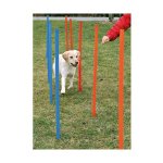 Trixie Agility Slalom mit Hund 2