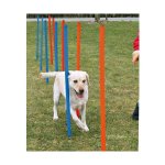 Trixie Agility Slalom mit Hund 3