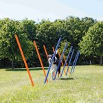Trixie Agility Slalom mit Hund 4