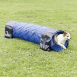Trixie Agility Tunnel für kleine Hunde Welpen mit Hund
