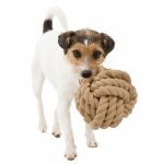 Trixie BE NORDIC Tau-Ball für Hunde mit Hund