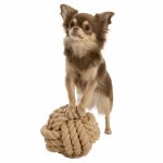Trixie BE NORDIC Tau-Ball für Hunde mit kleinem Hund