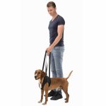 Trixie Gehhilfe mit Hund Vorderhand