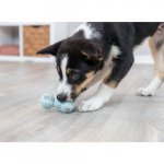 Trixie Junior Hantel aus Naturgummi mit stehendem Welpe
