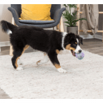 Trixie Junior Tau-Ball mit Hund