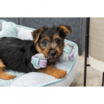 Trixie Junior Tau-Hantel 15 cm mit Welpe