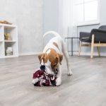 Trixie Schnüffelball für Hunde 3