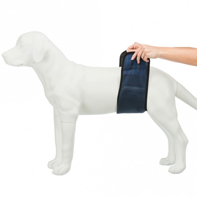 Trixie Windeln für Rüden waschbar Anelitung Teil 2