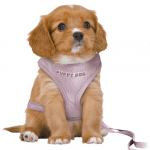 Trixie Junior Welpen-Softgeschirr mit Leine flieder mit Welpe