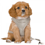 Trixie Junior Welpen-Softgeschirr mit Leine grau mit Welpe