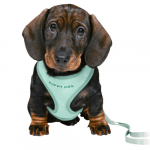 Trixie Junior Welpen-Softgeschirr mit Leine mint mit Welpe
