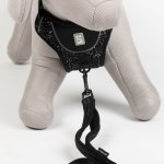 Duvoplus EXPLOR Ultimate Fit No-Pull-Geschirr mit Modellhund Frontansicht