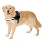 Karlie Xtreme No Limit Teflon-Geschirr mit Hund