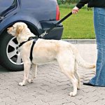 Trixie Auto-Sicherheitsgeschirr als Führgeschirr