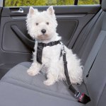Trixie Auto-Sicherheitsgeschirr mit Hund