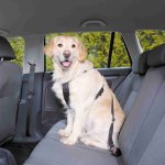 Trixie Auto-Sicherheitsgeschirr mit großem Hund