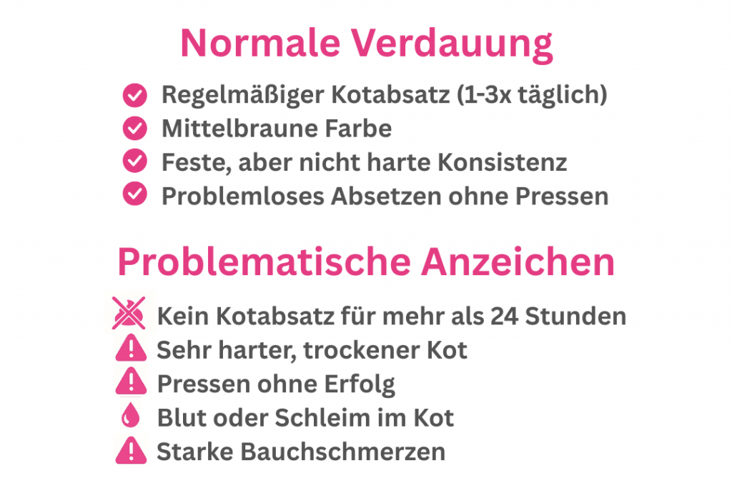 Normale Verdauung vs. Verstopfung