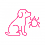 Parasiten beim Hund