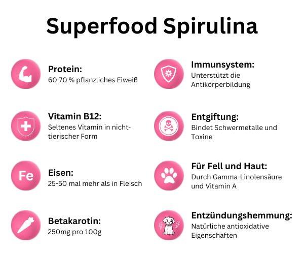 Spirulina Superfoods für Hunde