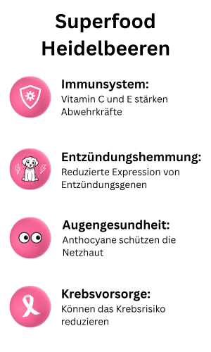 Superfood für Hunde Heidelbeeren
