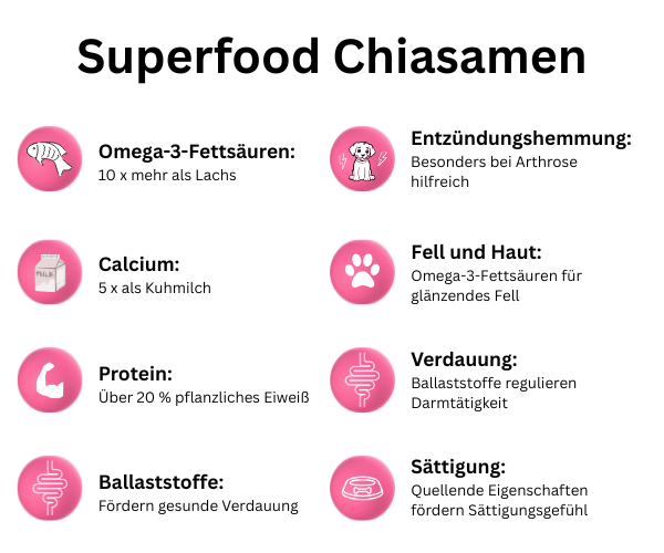 Superfood für Hunde Chiasamen