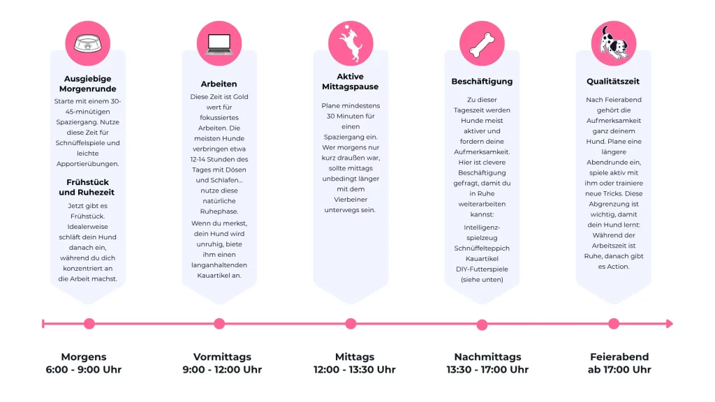 Übersicht über den perfekten Tagesablauf mit Hund im Homeoffice mit Tageszeiten