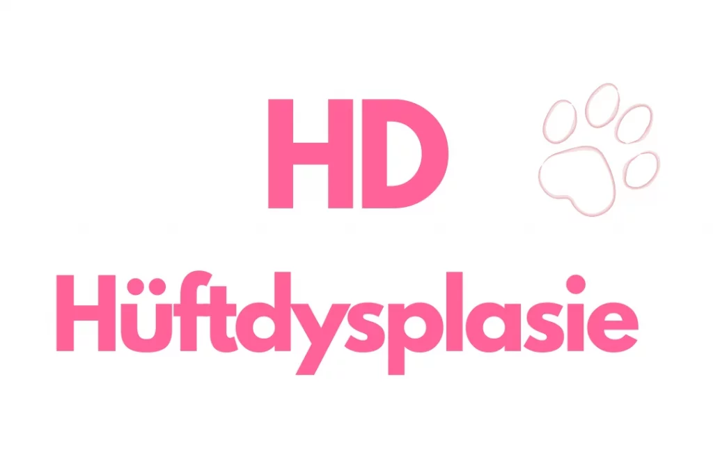 Auf dem Bild steht der Text HD Hüftdysplasie mit einer Hundepfote