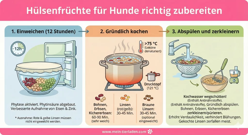 Übersichtliche Grafik, die die richtige Zubereitungsart für Hülsenfrüchte für Hunde aufzeigt.