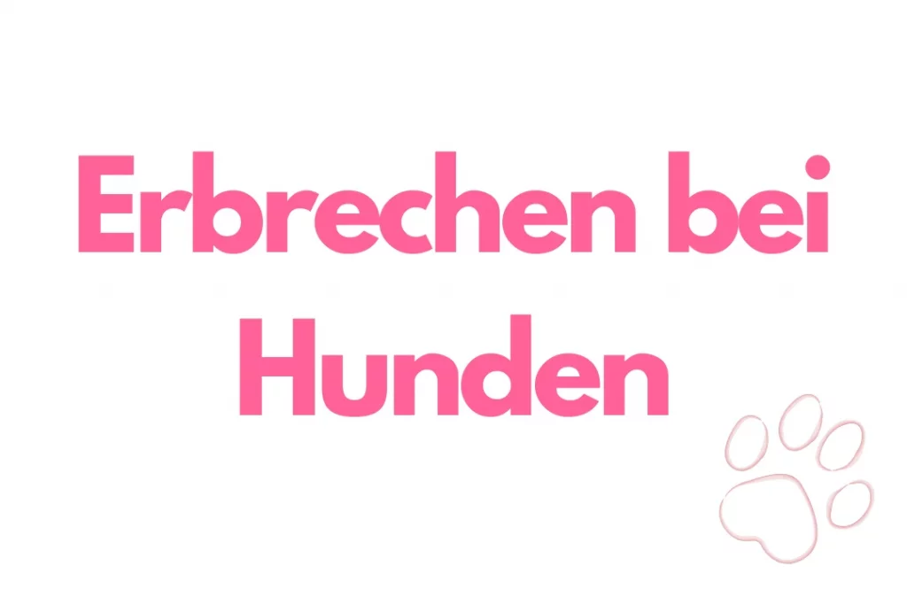 Auf dem Bild steht der Text Erbrechen bei Hunden mit einer Hundepfote.