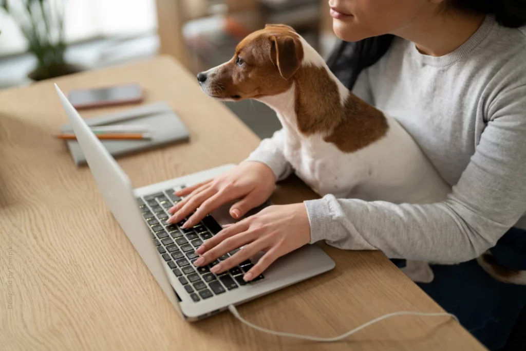 Ein Hund sitzt bei Frauchen auf dem Schoß an einem Schreibtisch am Laptop.